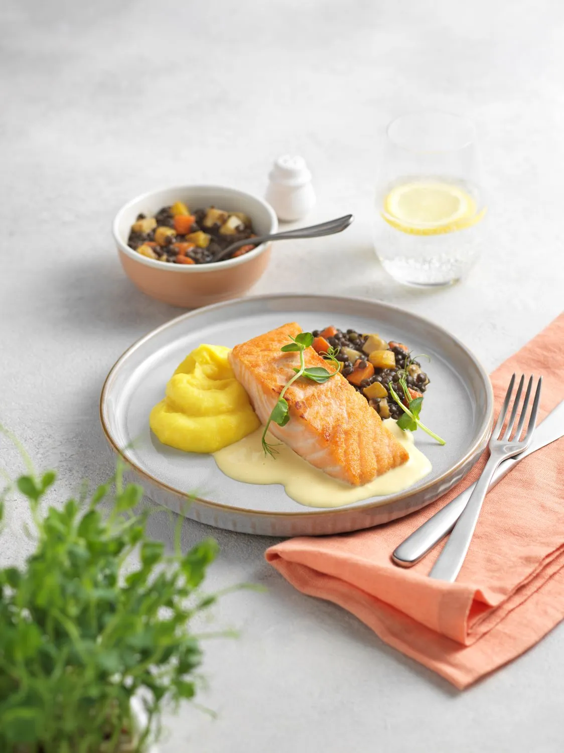GEBRATENES LACHSFILET mit Linsenratatouille und Sauce Hollandaise