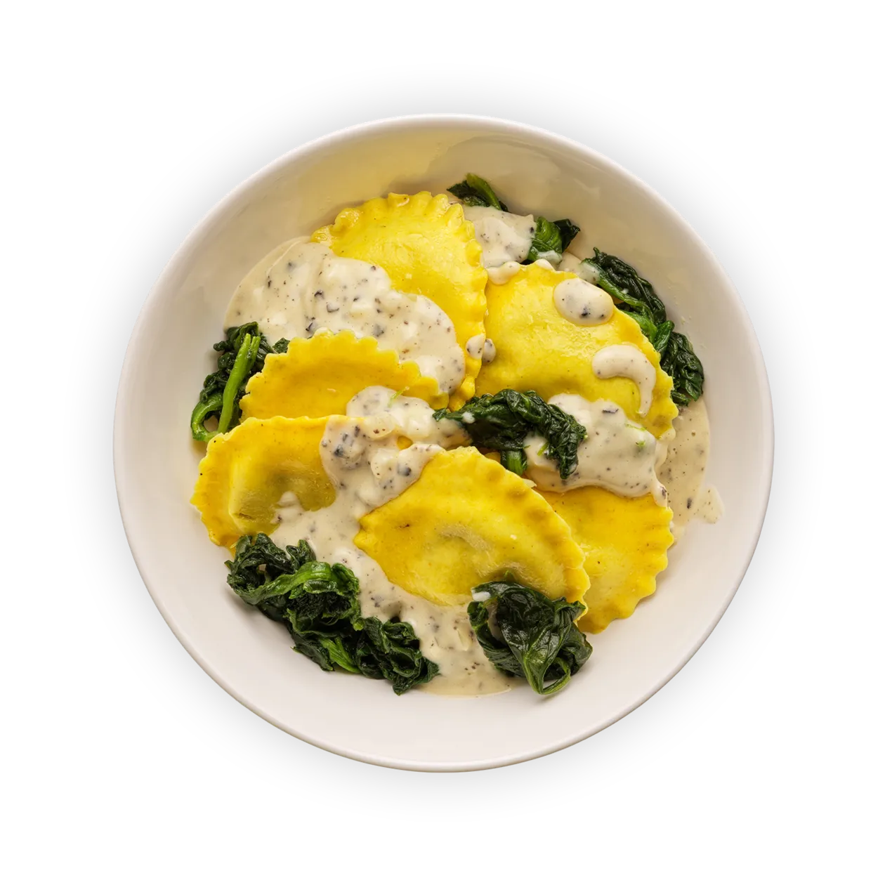 Truffle ravioli with white wine truffle sauce | Spinach and Sbrinz cheese