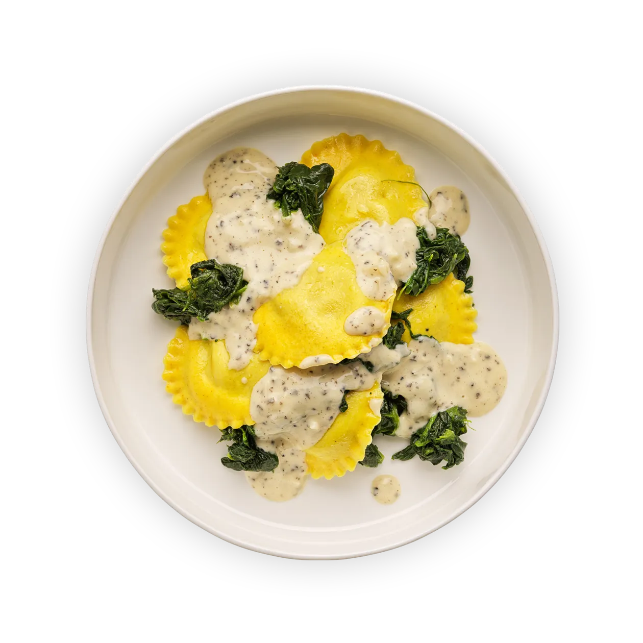 Truffle ravioli with white wine truffle sauce | Spinach and Sbrinz cheese
